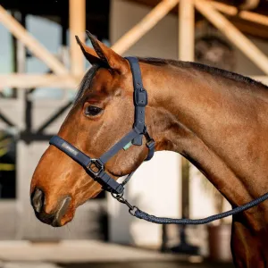 Amigo® Halter & Lead Rope Set