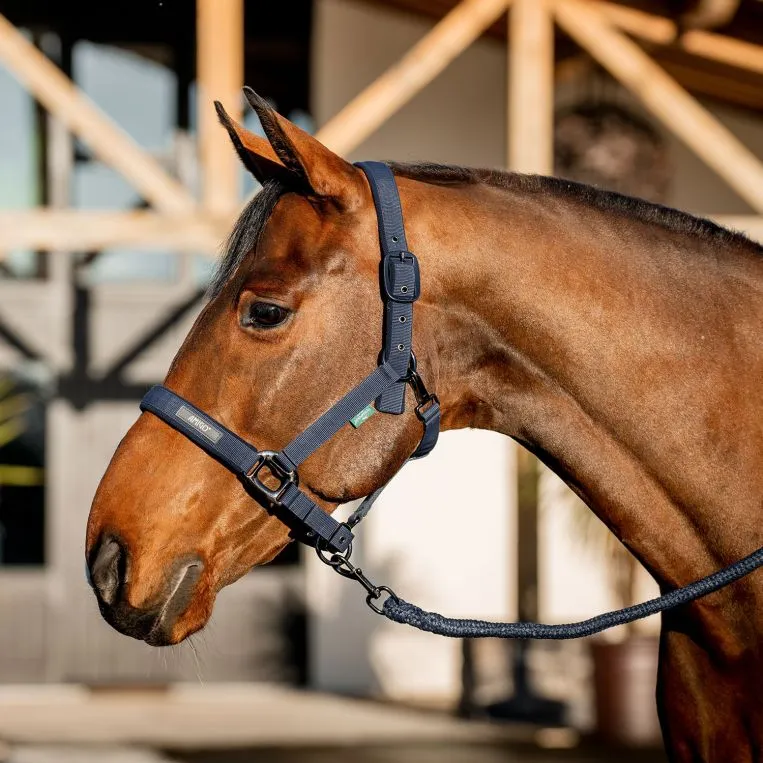 Amigo® Halter & Lead Rope Set