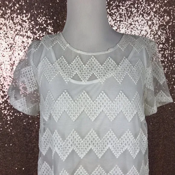 Anthropologie maeve embroidered lace dress