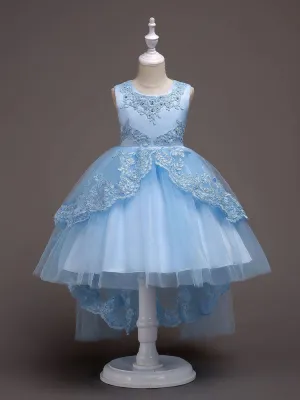 Baby Blue Lace Tulle Princess Tutu Embroidered Kids Ball Gown Dress