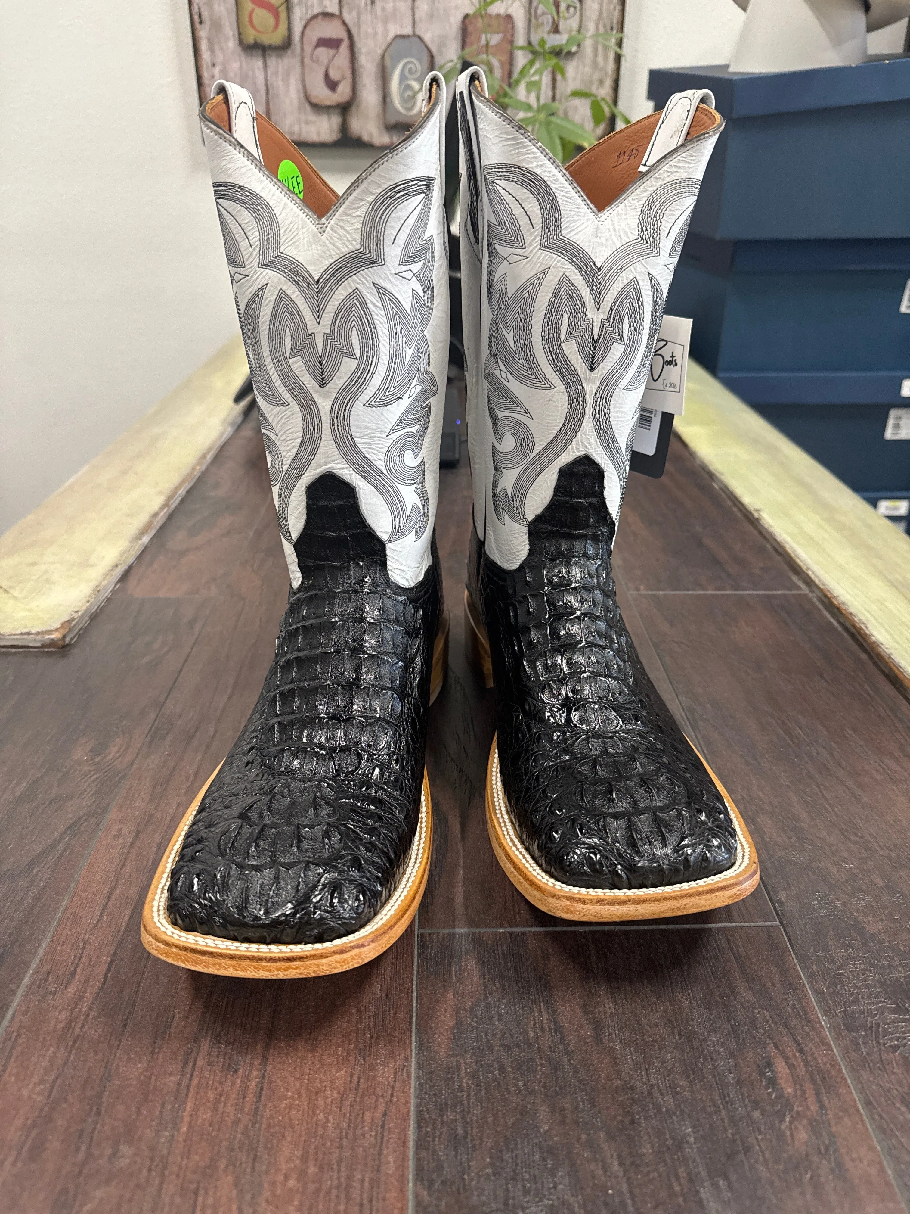 Caiman hornback neck- Black