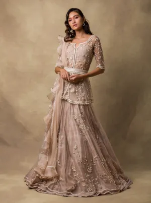 Champagne Gold Embroidered Lehenga Set