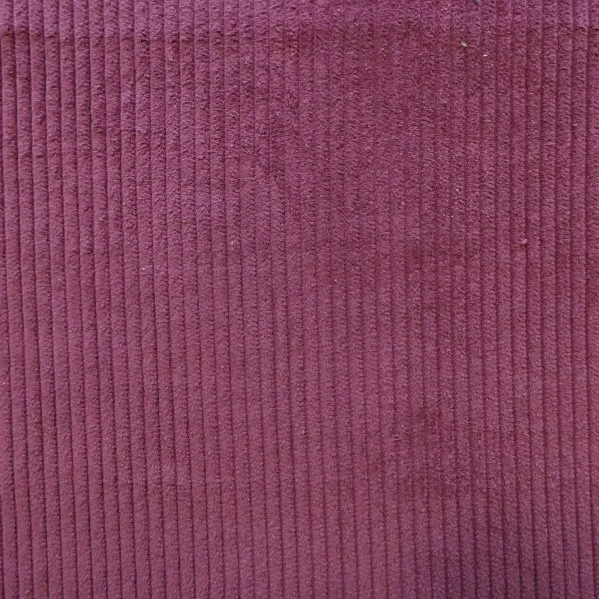 Dakota - Jumbo Corduroy - Mauve