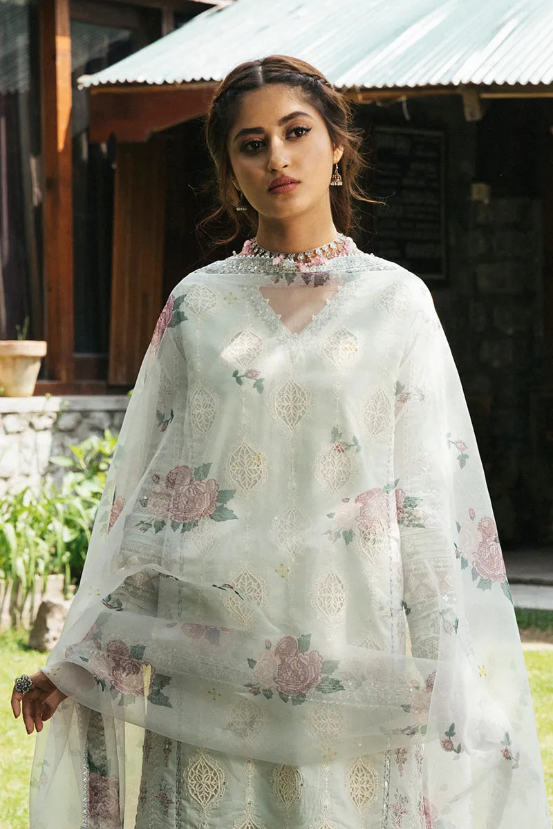 EB-06  LIANA | Qalamkar Rahi Luxury Festive Collection 2022 | Unstitched Embroidered Lawn Suits