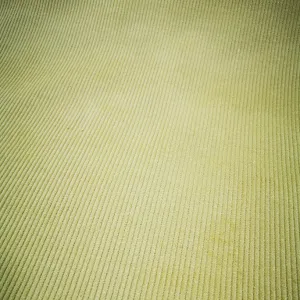 Eden Cord, Mustard