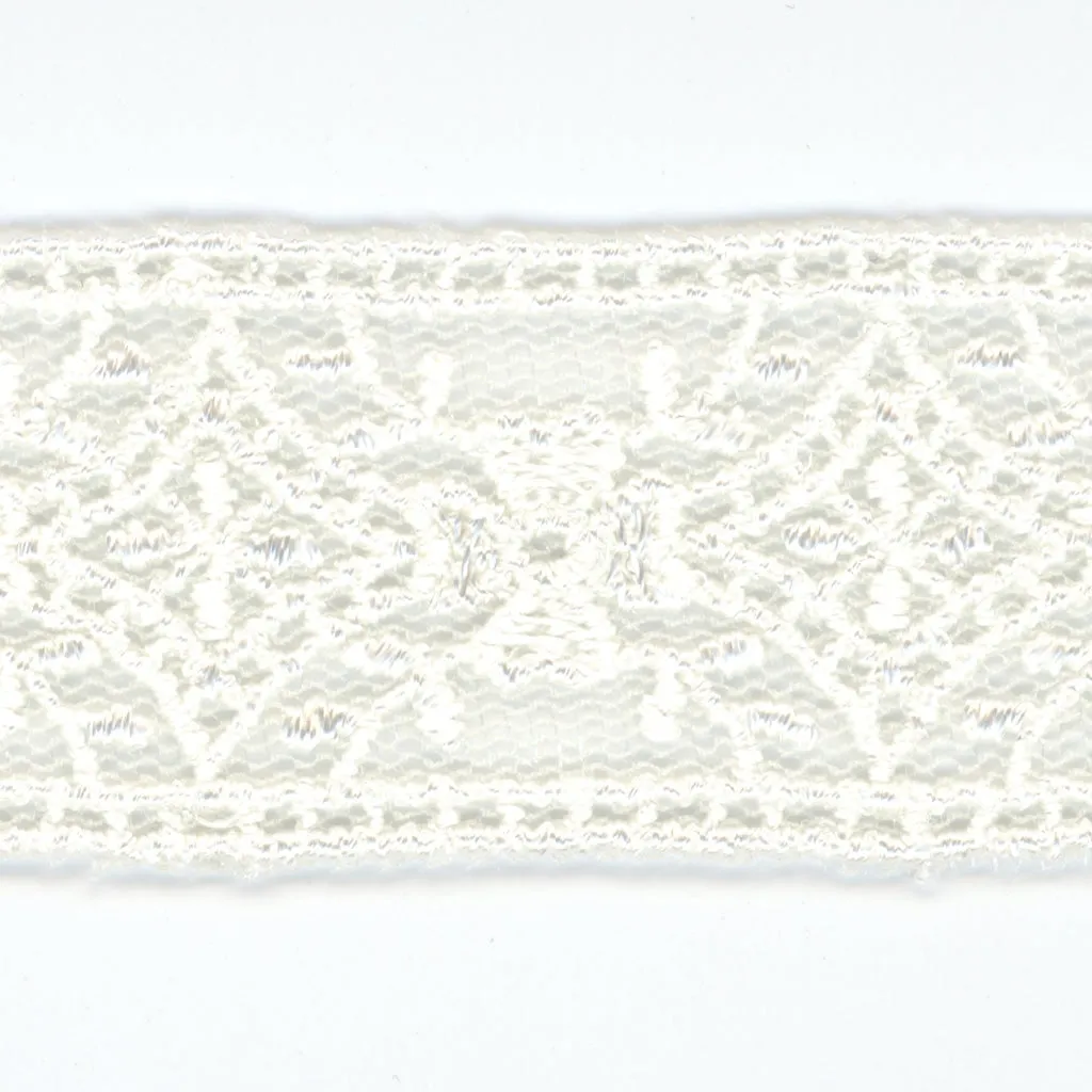 Embroidered Tulle Lace #00 Off White