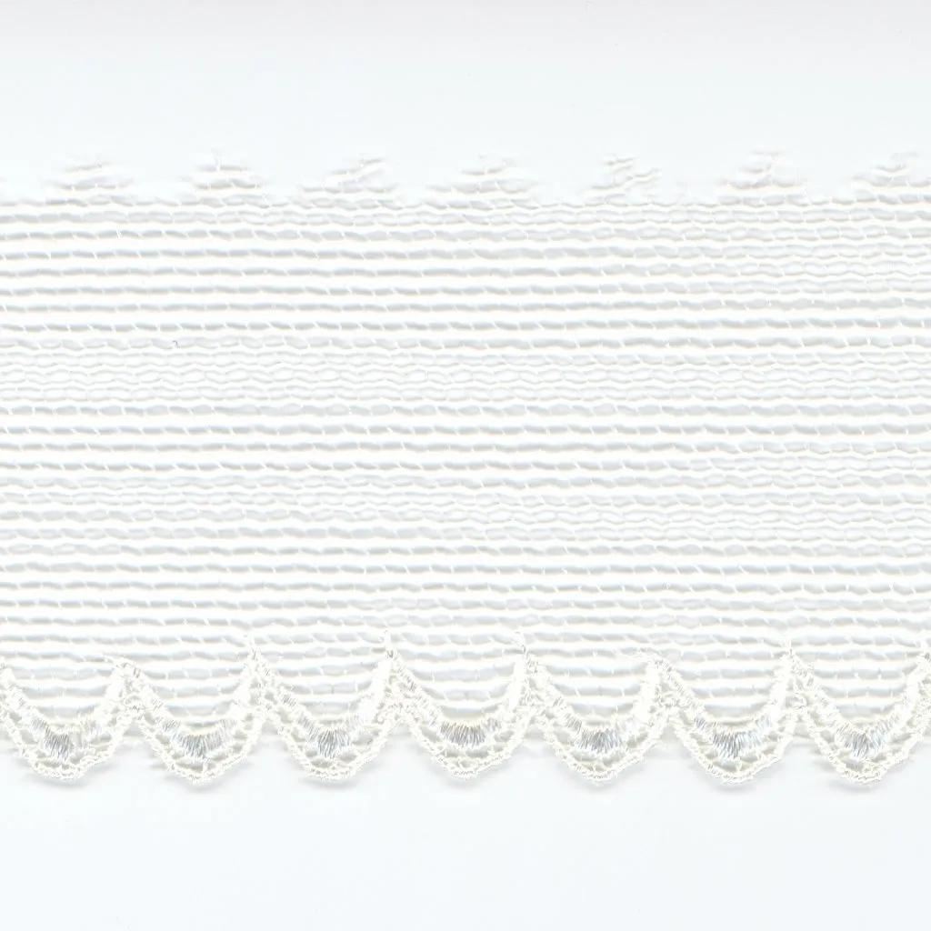 Embroidered Tulle Lace #00 Off White