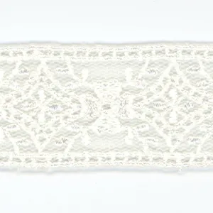 Embroidered Tulle Lace #00 Off White