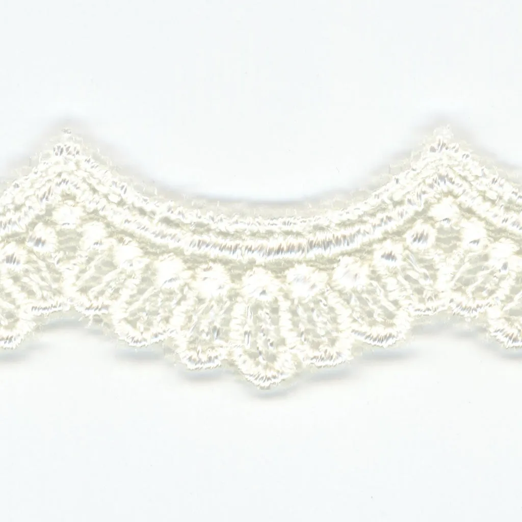 Embroidered Tulle Lace #00 Off White