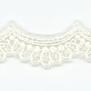 Embroidered Tulle Lace #00 Off White