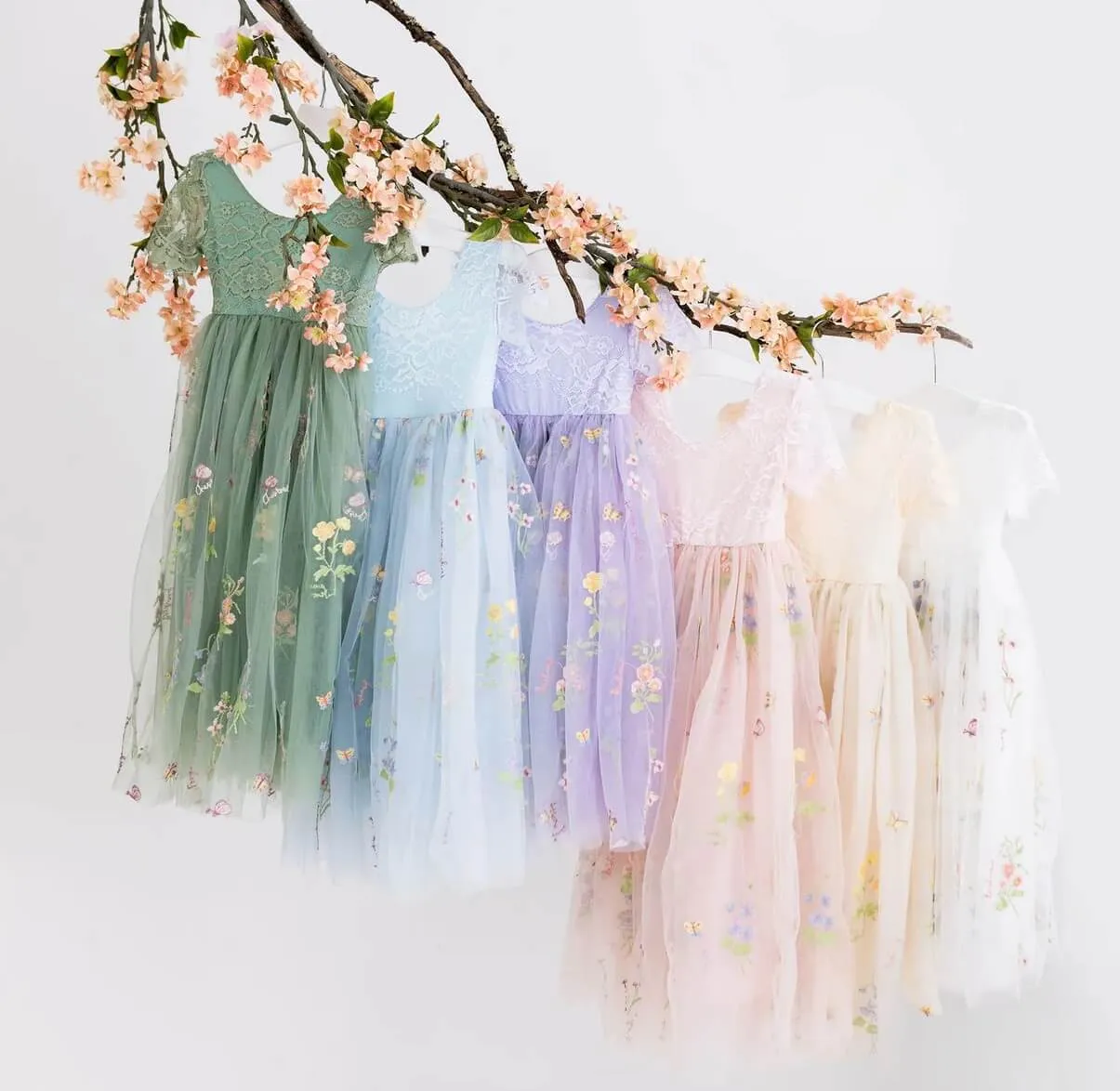 Enchanted Dress - Embroidered Apricot Champagne Lace