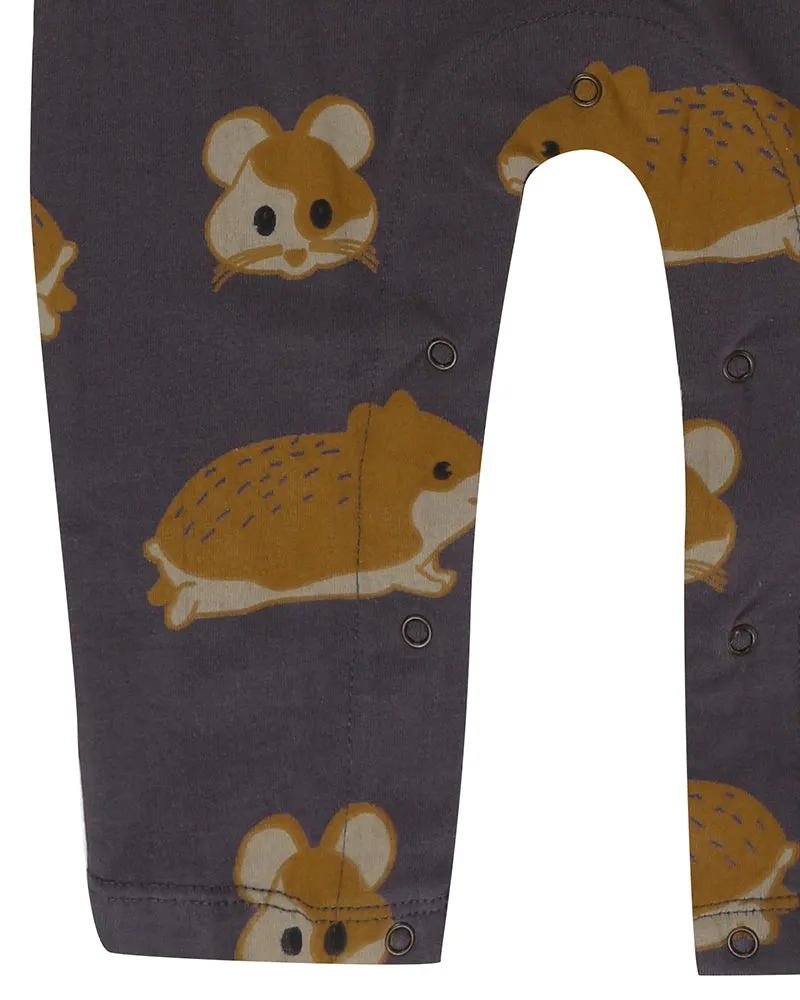 Hamster Squeaks Romper