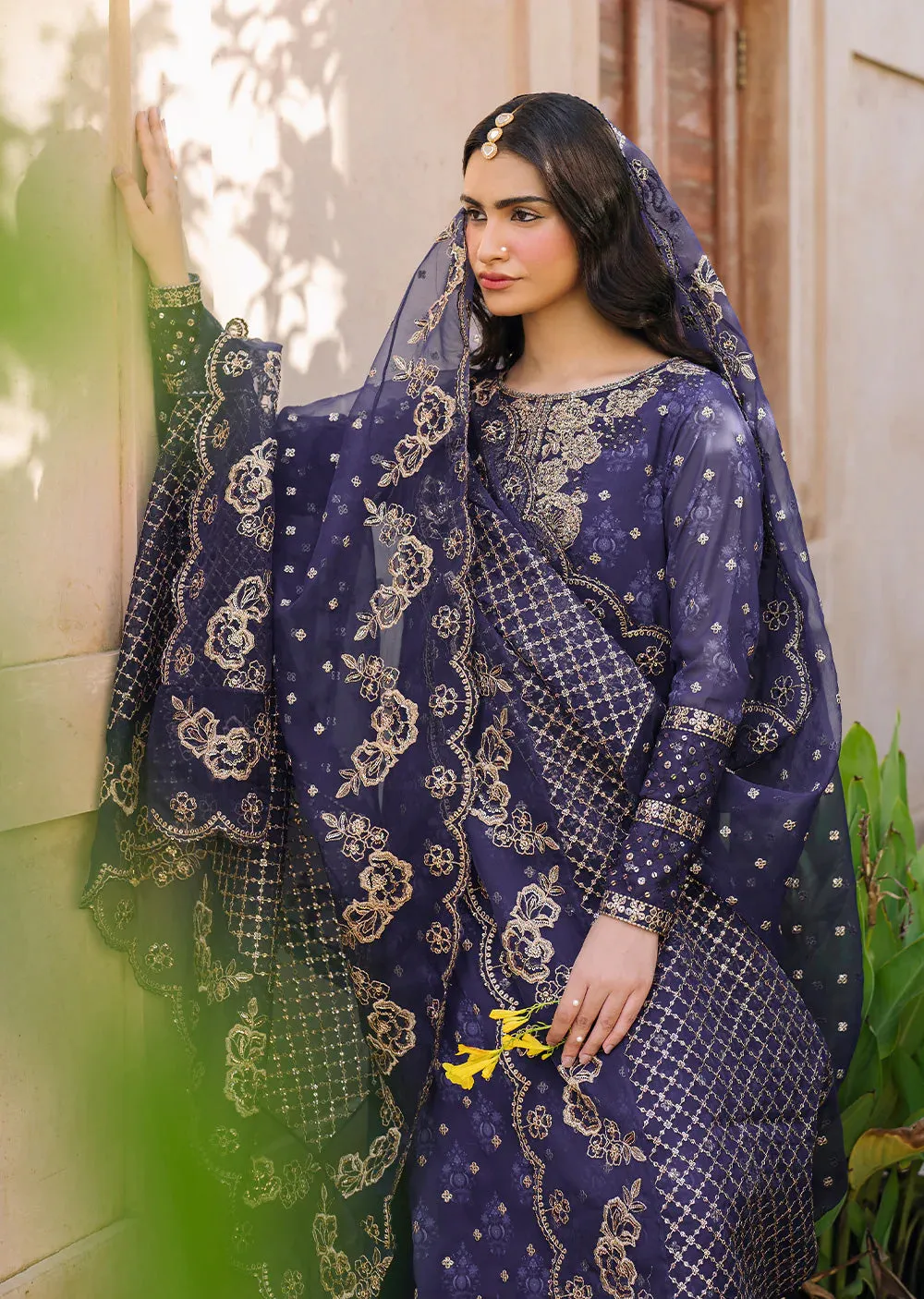 IZKN-01  Navy - Readymade - Bandhani Chiffon Collection by Iznik 2025