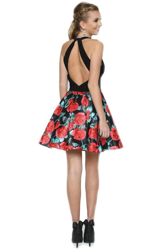 Juliet Collection 806