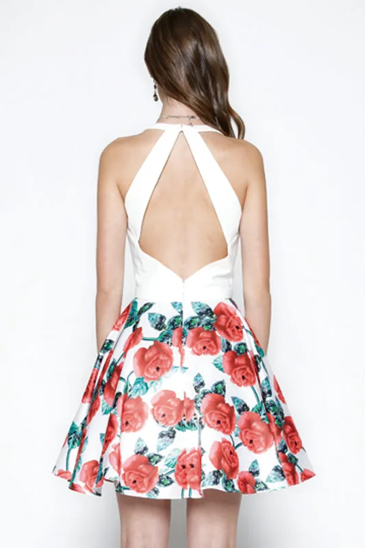 Juliet Collection 806