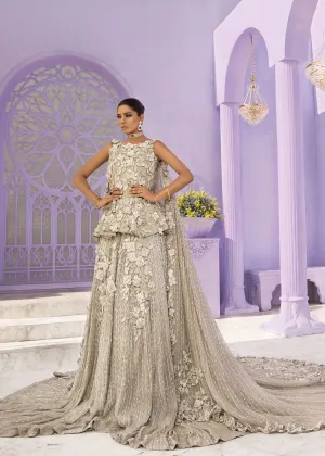 Latest Pakistani Embroidered bridal dress 2020 in silver color # B3466