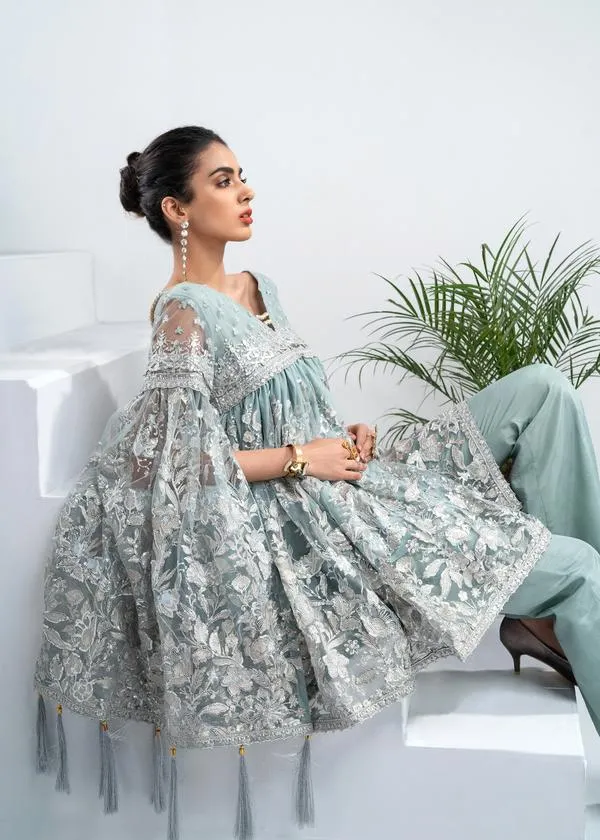 Modern Pakistani Grey Dress In High Quality Net Fabric # CA135
