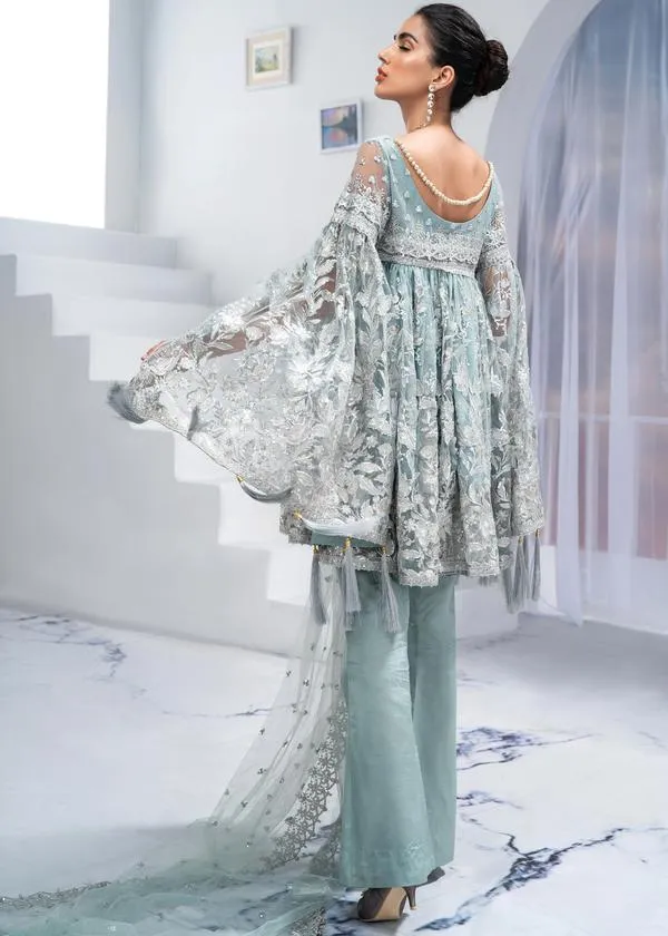 Modern Pakistani Grey Dress In High Quality Net Fabric # CA135