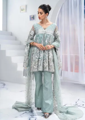 Modern Pakistani Grey Dress In High Quality Net Fabric # CA135