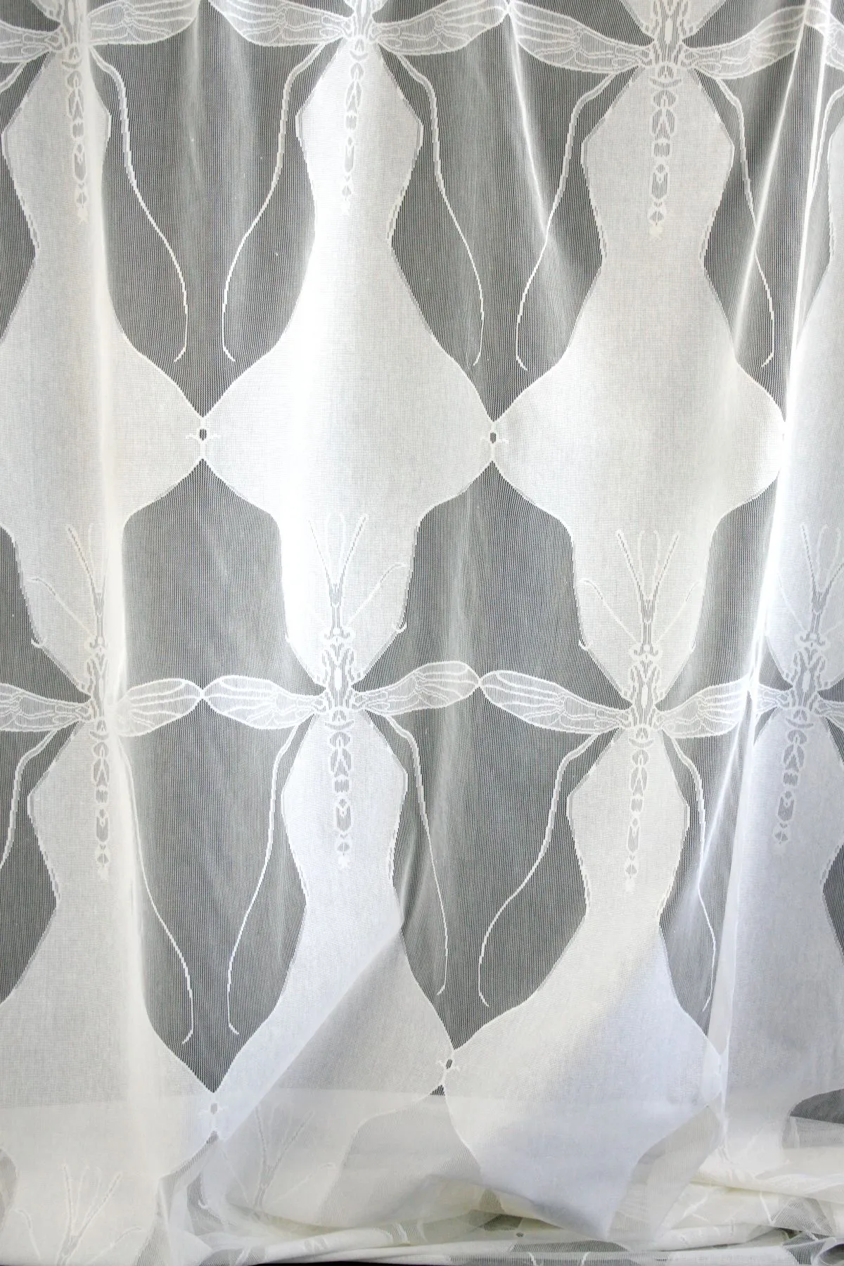 mosquito large lace fabric