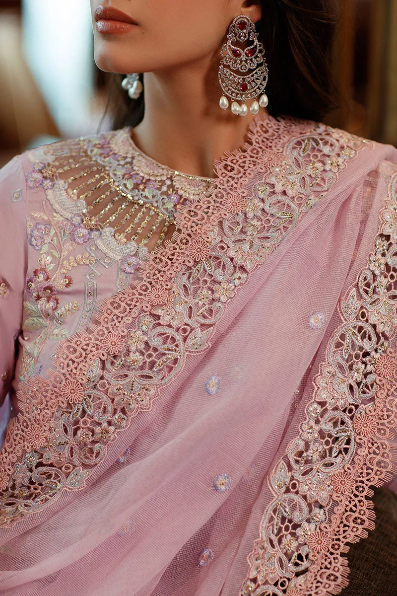 MUSHQ | ASTORIA | FESTIVE LAWN ’23 | KENZA