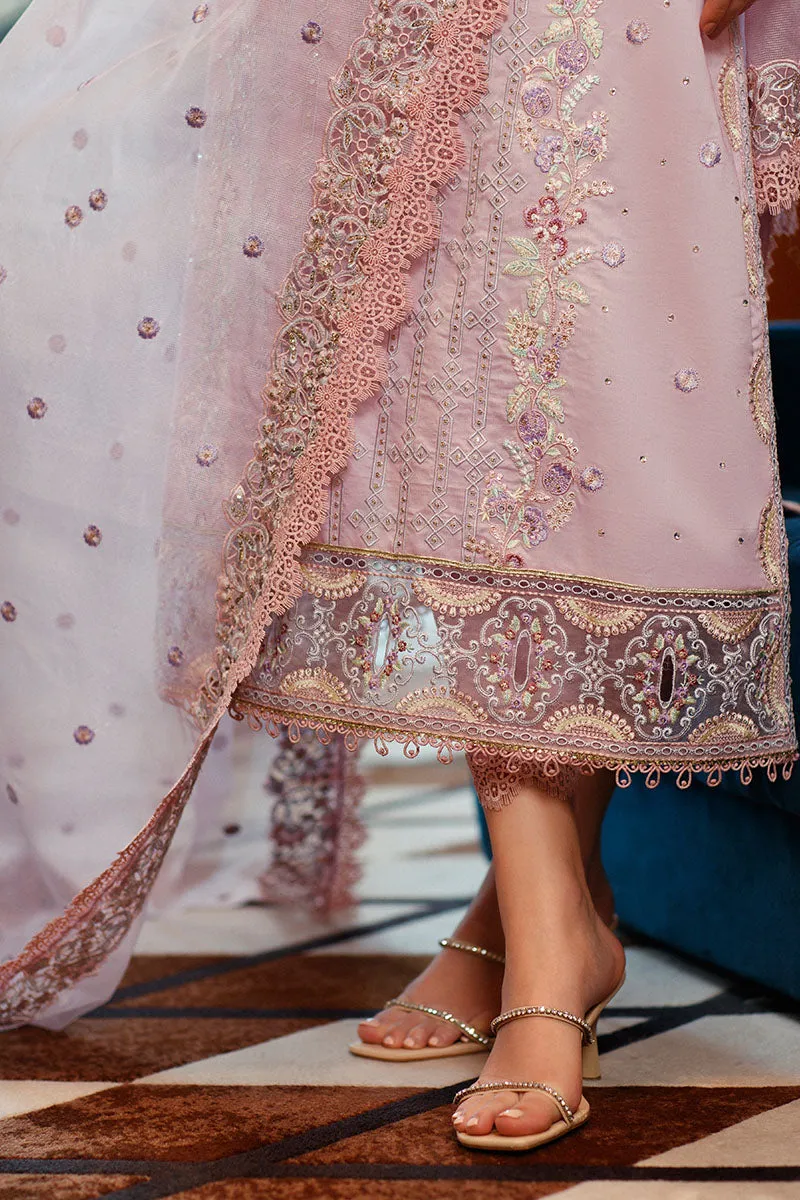 MUSHQ | ASTORIA | FESTIVE LAWN ’23 | KENZA