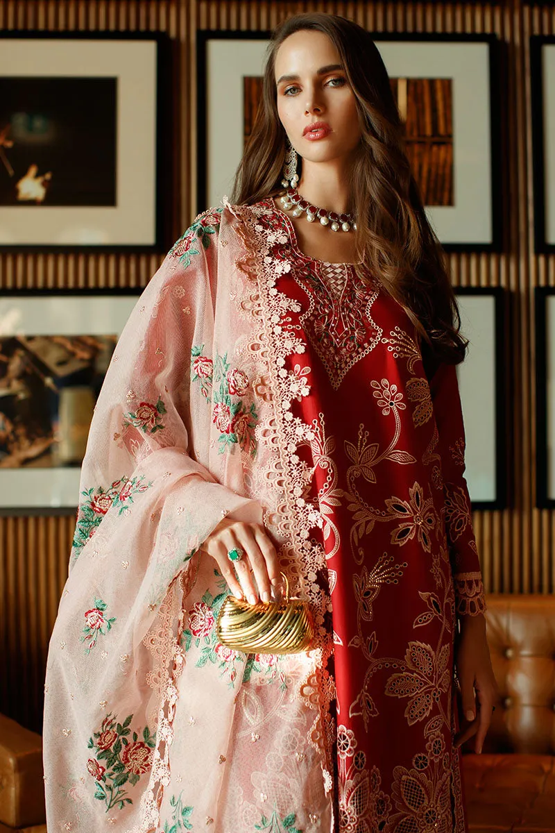 MUSHQ | ASTORIA | FESTIVE LAWN ’23 | SCARLET