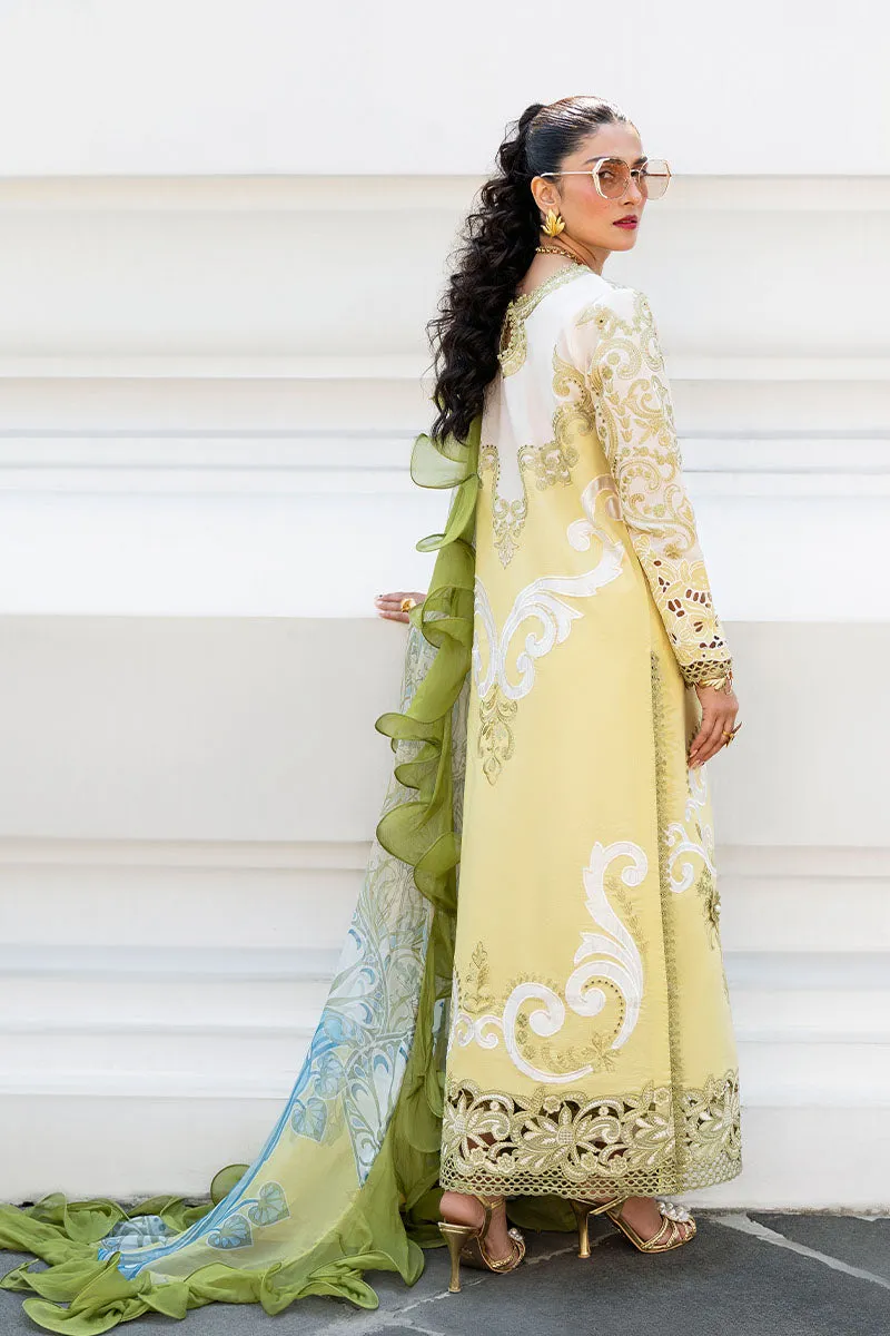 MUSHQ | Lawn Collection 2023 | INTIRA
