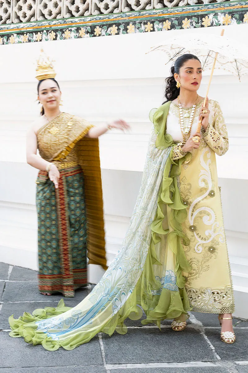 MUSHQ | Lawn Collection 2023 | INTIRA