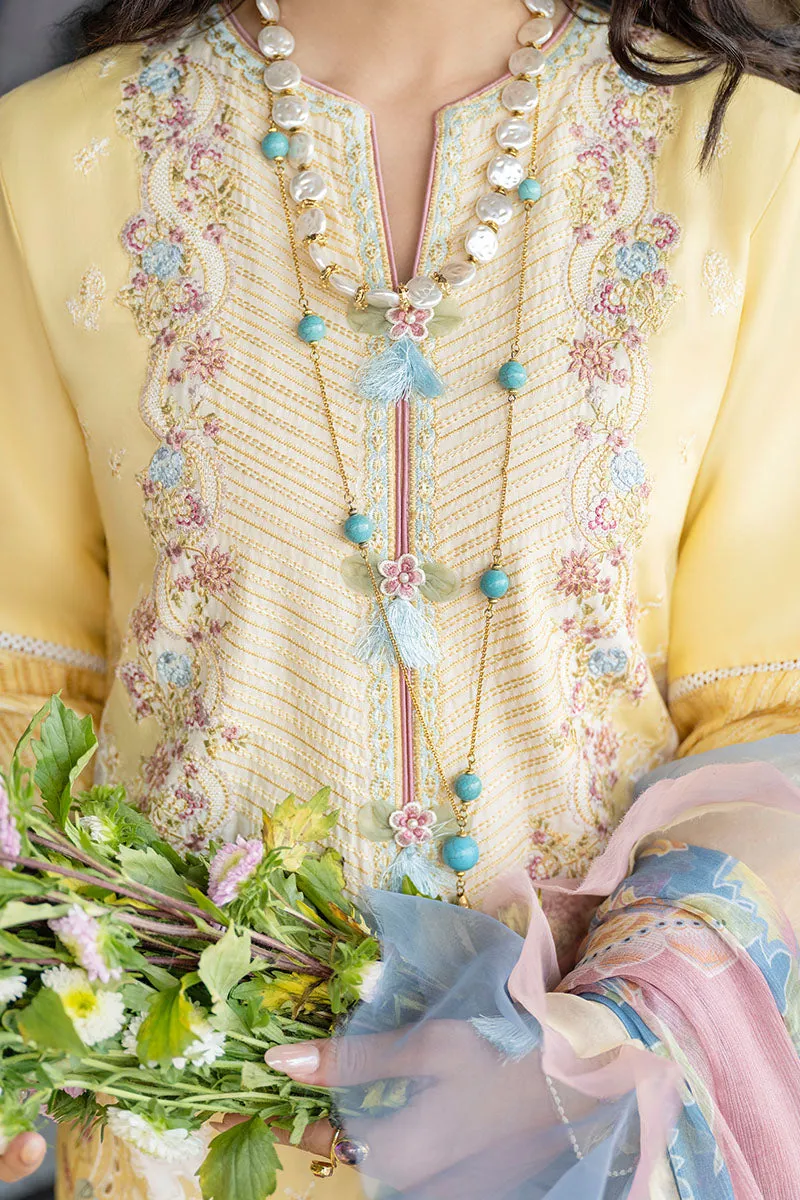 MUSHQ | Lawn Collection 2023 | RADA