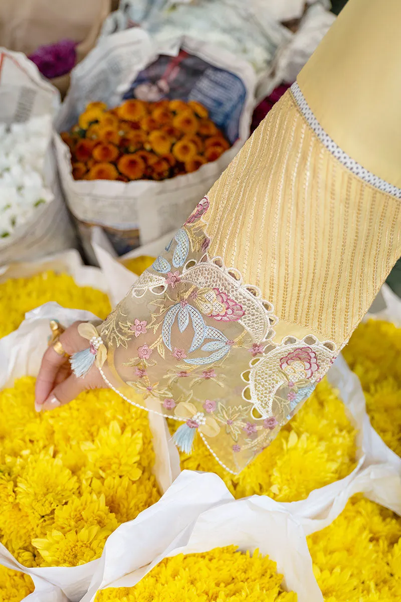 MUSHQ | Lawn Collection 2023 | RADA