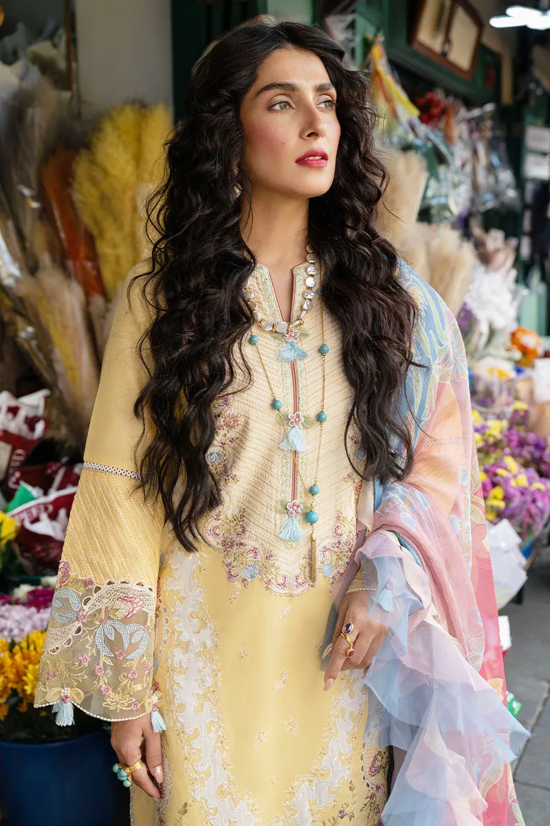 MUSHQ | Lawn Collection 2023 | RADA
