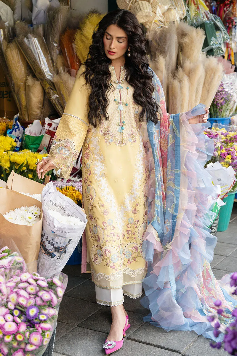 MUSHQ | Lawn Collection 2023 | RADA