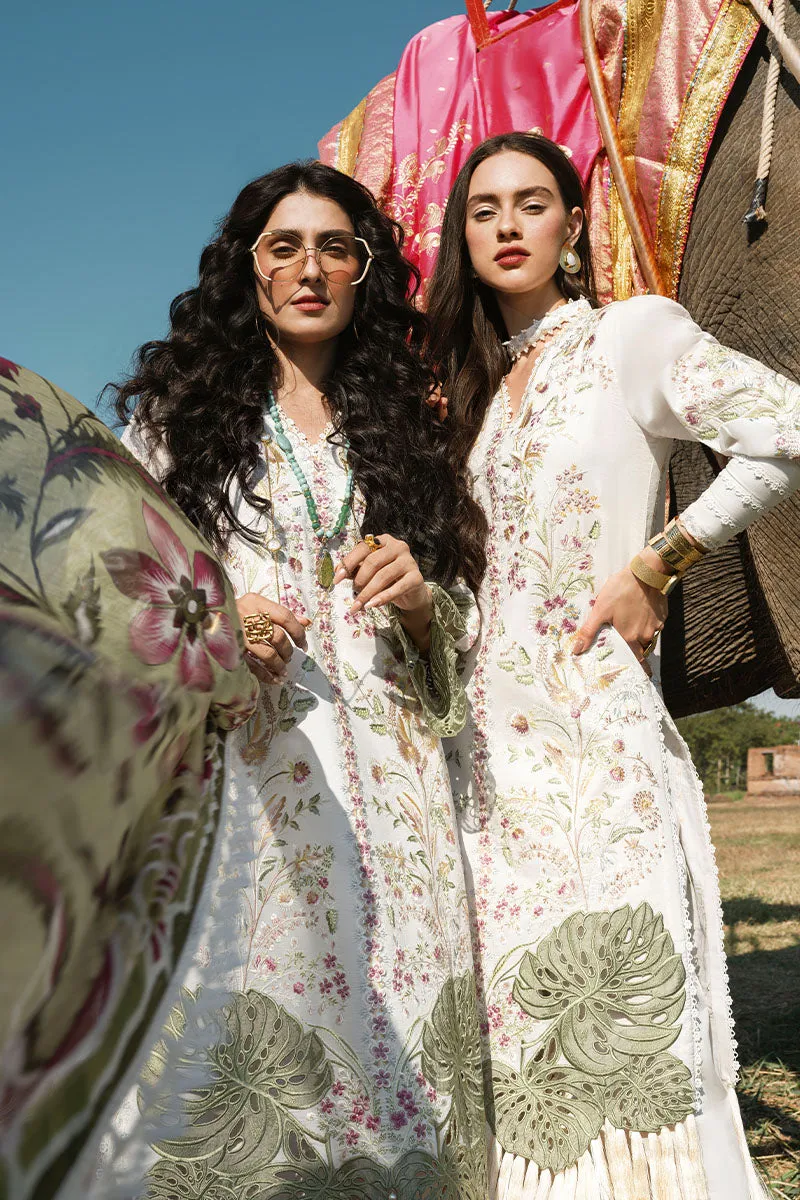 MUSHQ | Lawn Collection 2023 | YANIN