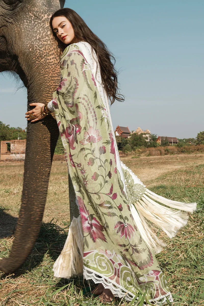 MUSHQ | Lawn Collection 2023 | YANIN