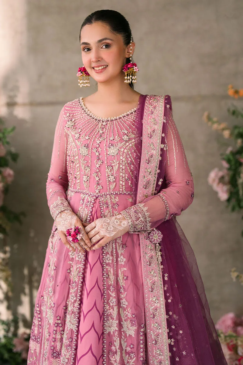 MUSHQ | Mastani Evening Luxury Chiffon Collection | DUA