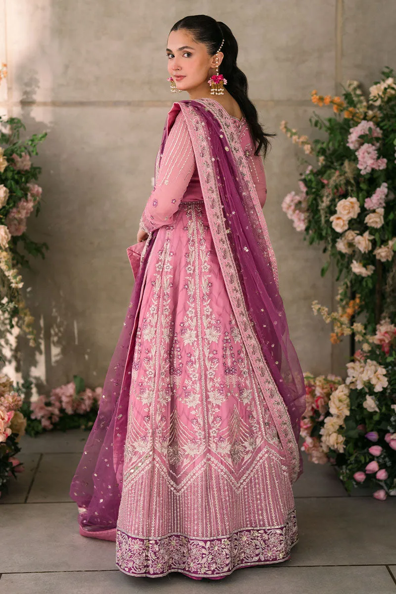 MUSHQ | Mastani Evening Luxury Chiffon Collection | DUA