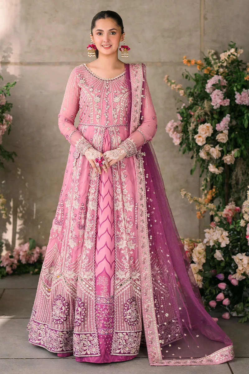 MUSHQ | Mastani Evening Luxury Chiffon Collection | DUA