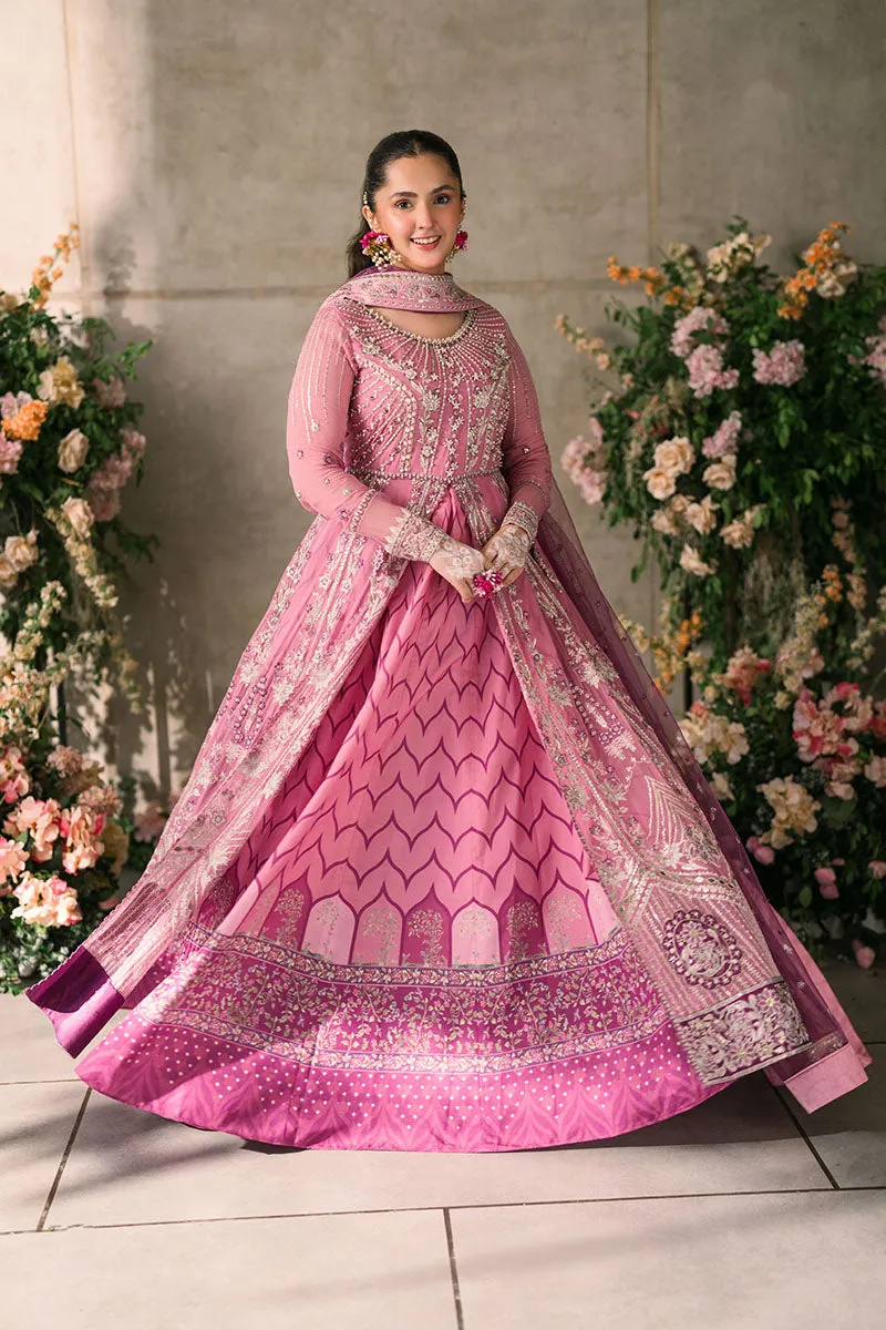 MUSHQ | Mastani Evening Luxury Chiffon Collection | DUA