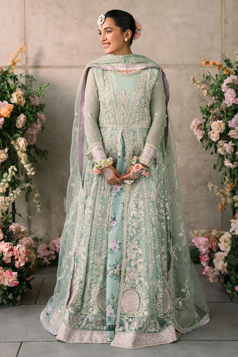 MUSHQ | Mastani Evening Luxury Chiffon Collection | FAIZA