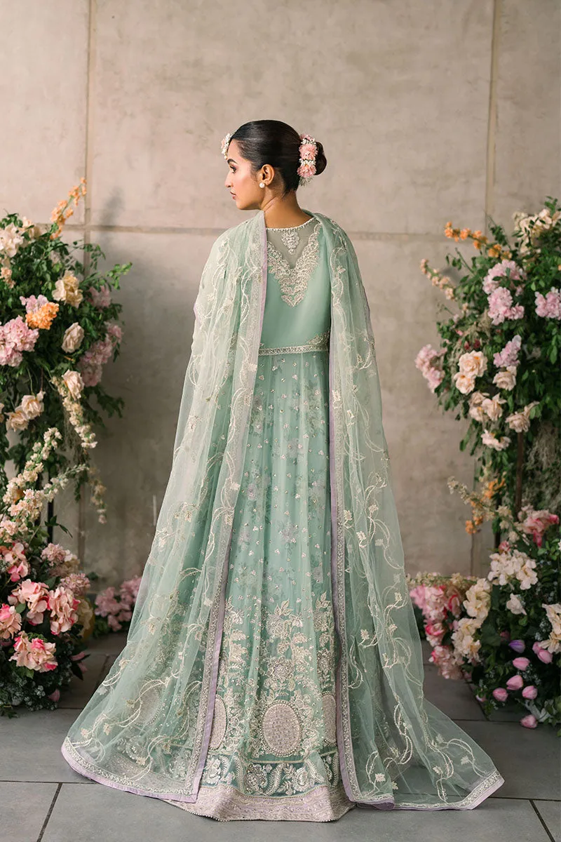 MUSHQ | Mastani Evening Luxury Chiffon Collection | FAIZA