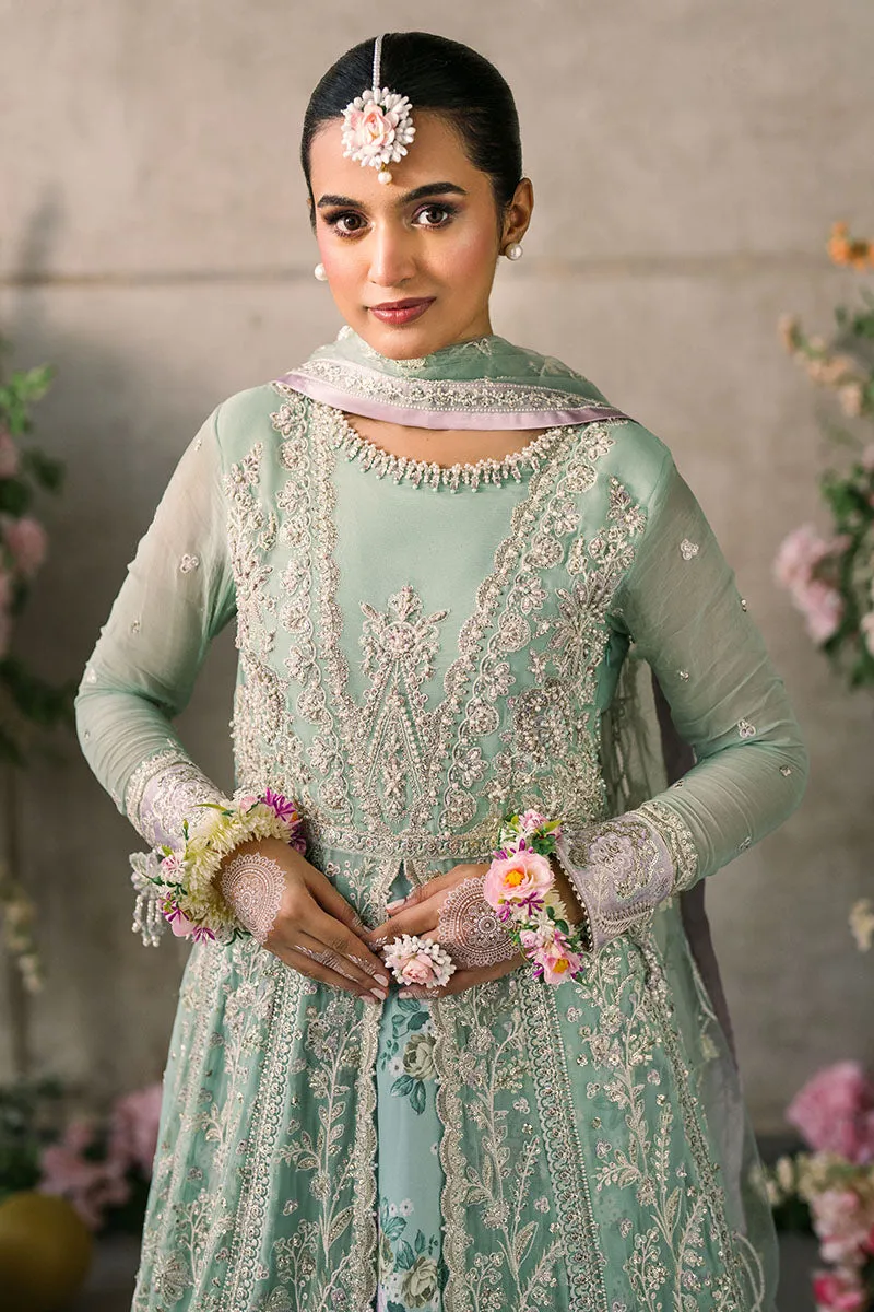 MUSHQ | Mastani Evening Luxury Chiffon Collection | FAIZA