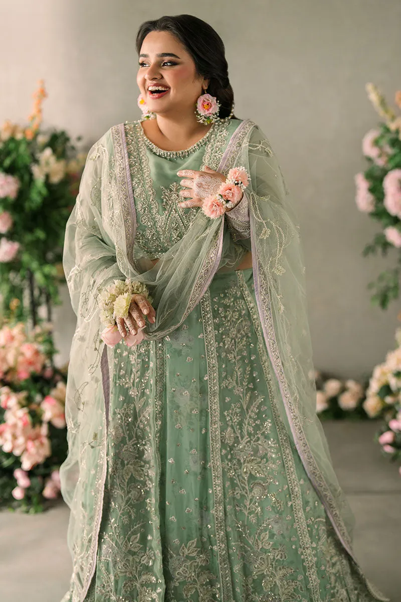 MUSHQ | Mastani Evening Luxury Chiffon Collection | FAIZA
