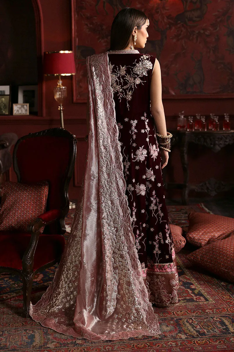 MUSHQ | NILOUFER UNSTITCHED VELVET EDIT | GOLNAR