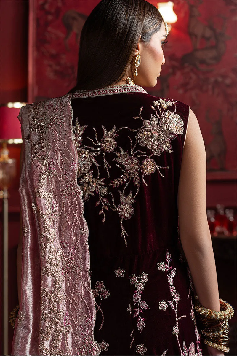 MUSHQ | NILOUFER UNSTITCHED VELVET EDIT | GOLNAR