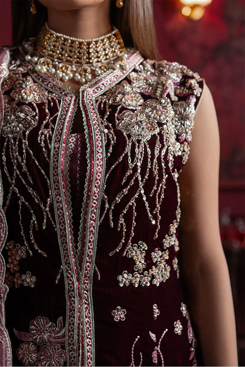 MUSHQ | NILOUFER UNSTITCHED VELVET EDIT | GOLNAR