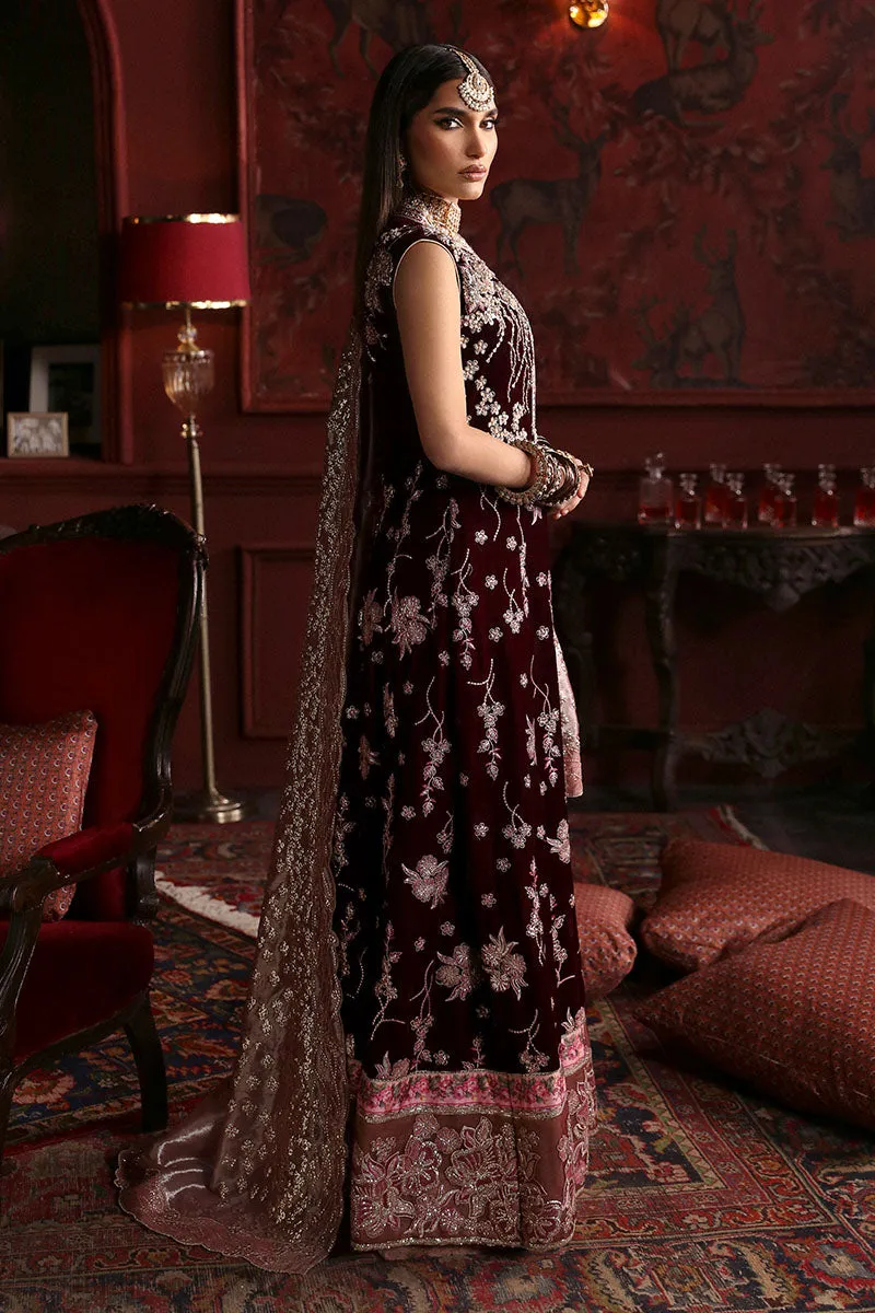 MUSHQ | NILOUFER UNSTITCHED VELVET EDIT | GOLNAR
