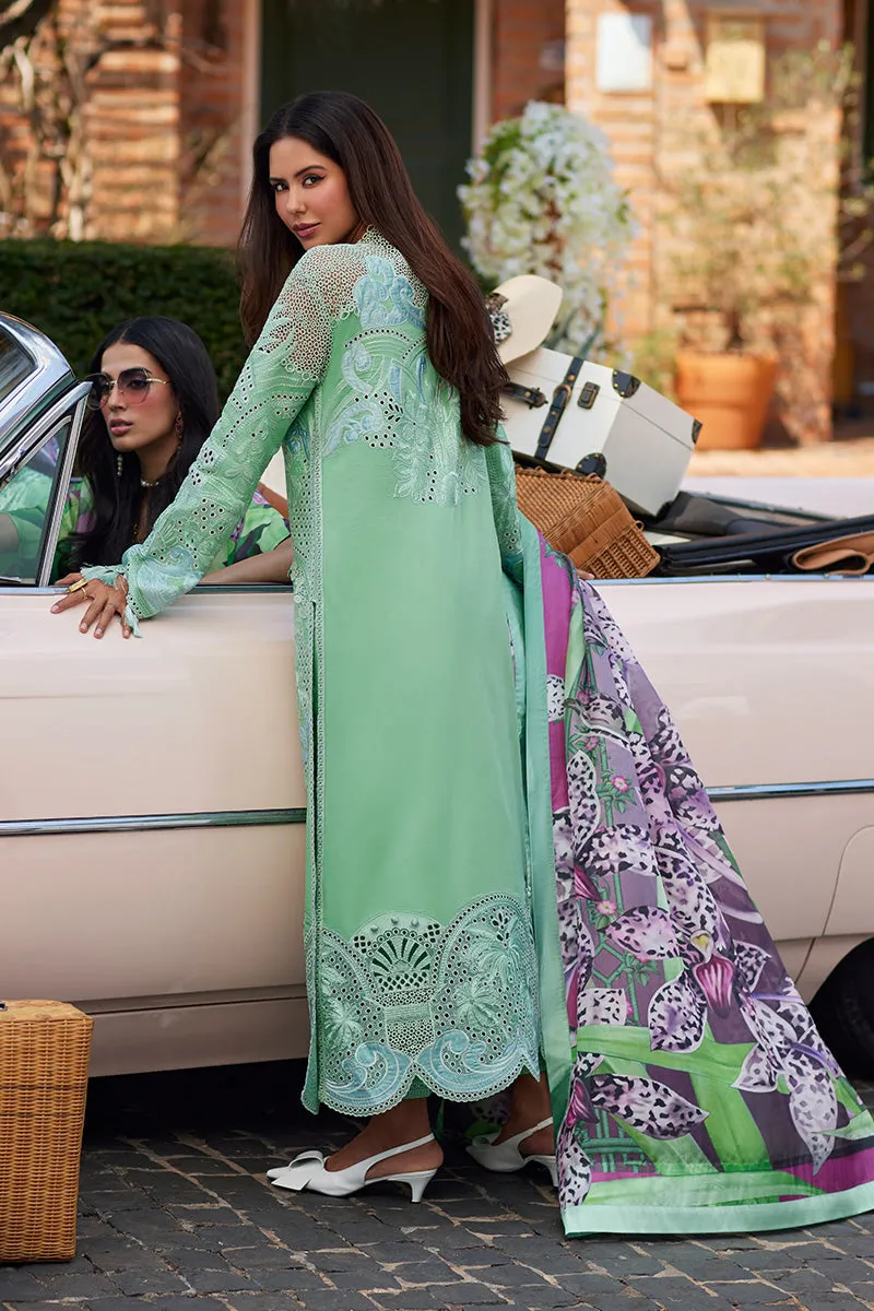 MUSHQ | TE AMO LUXURY LAWN '24 | PIAZZA PANACHE