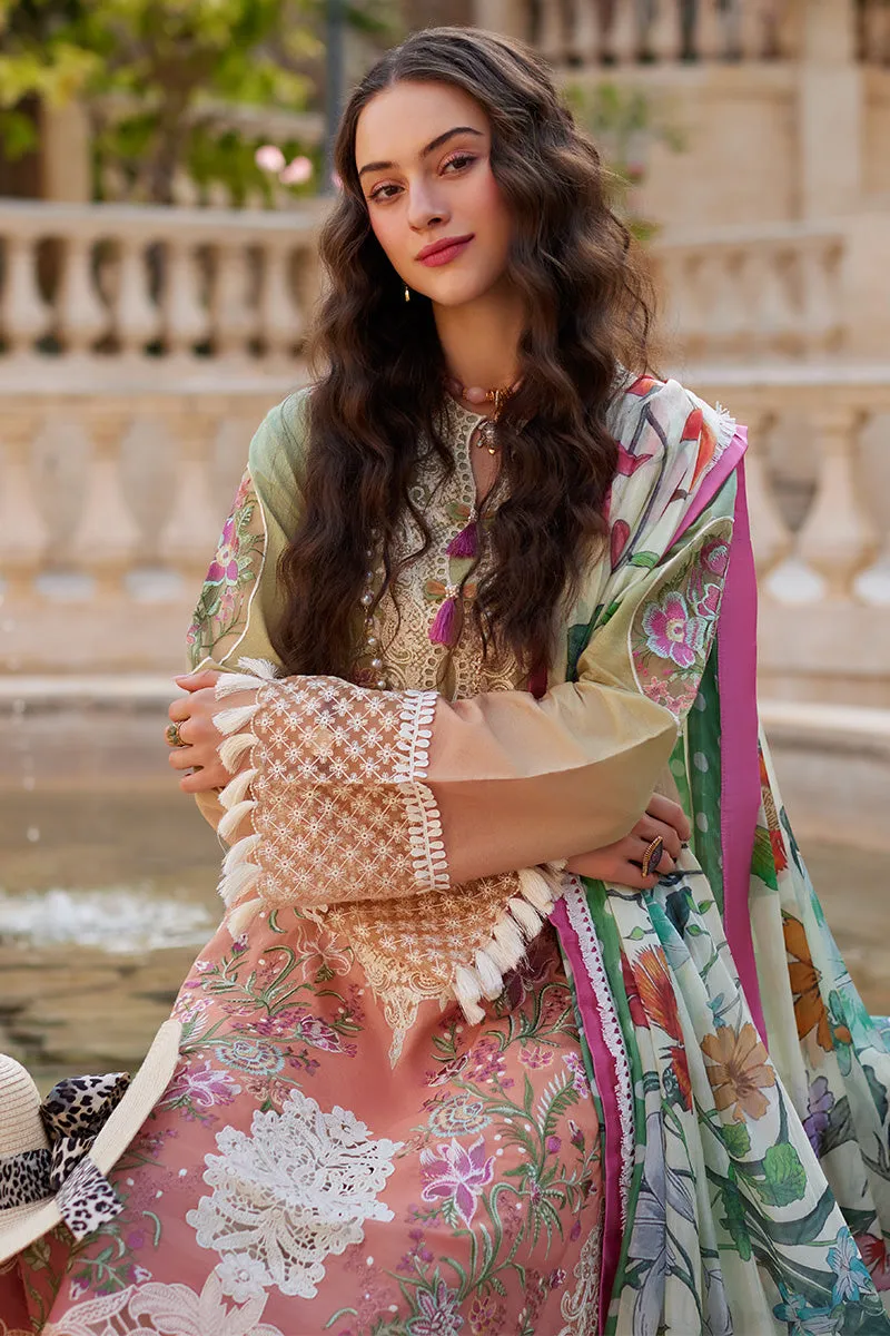 MUSHQ | TE AMO LUXURY LAWN '24 | VENICE VERVE