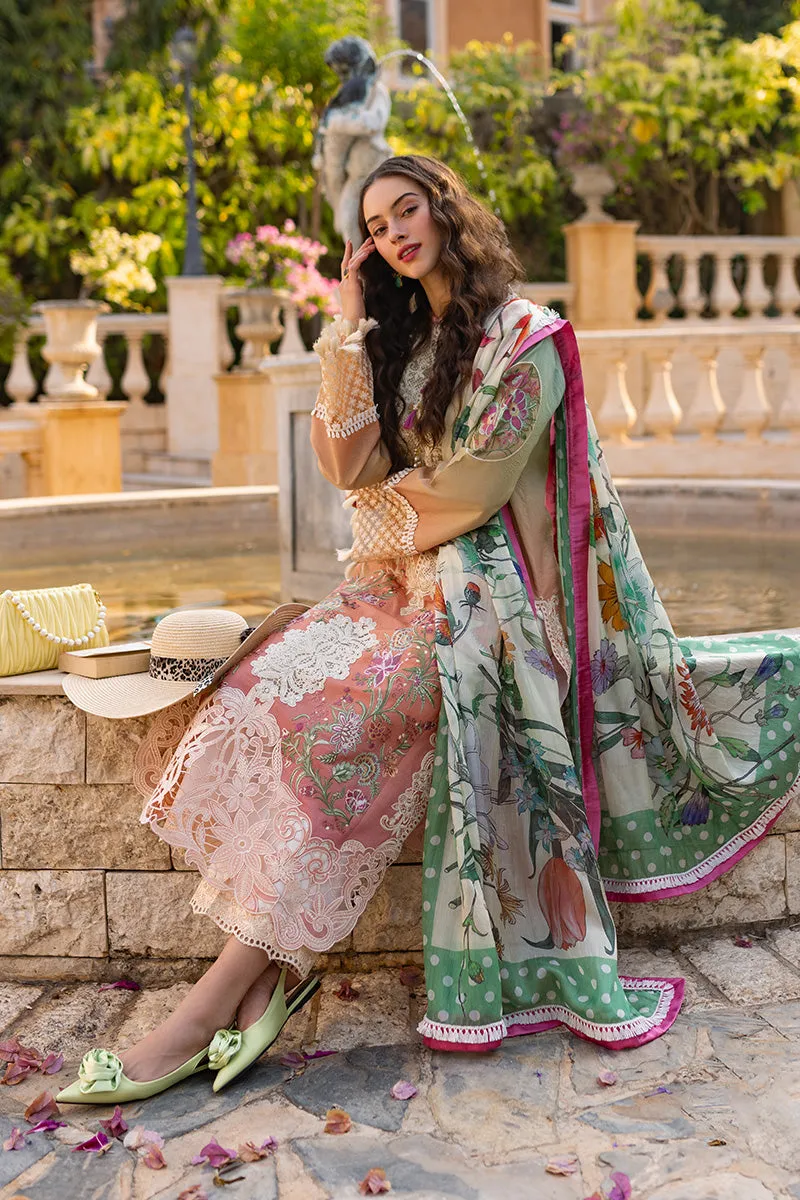 MUSHQ | TE AMO LUXURY LAWN '24 | VENICE VERVE